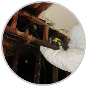 Water Damage Services North Caldwell NJ